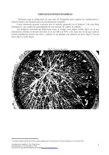 Cristalizaciones Sensibles II (Pedro Ramos) 6pg ... - Biodinamica