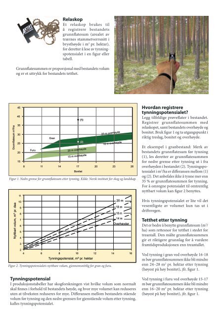 Tynning - PDF - Skogbrukets kursinstitutt