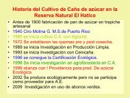 Historia del Cultivo de Caña de azúcar en la Reserva Natural El ...