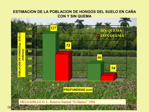 Historia del Cultivo de Caña de azúcar en la Reserva Natural El ...