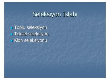 Seleksiyon IslahÄ±