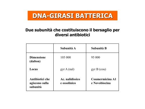 Antibatterici di sintesi