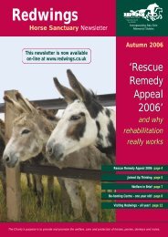 Autumn Newsletter 2 2006 - Redwings