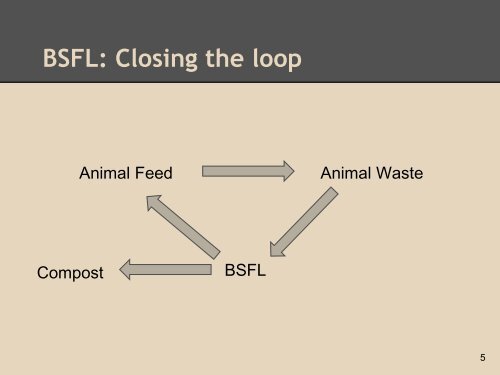 bsfl presentation - Institute for the Environment at UNC