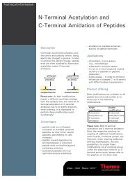 N-Terminal Acetylation and C-Terminal Amidation of Peptides