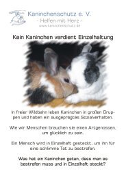Gegen Einzelhaltung von Kaninchen - Kaninchenschutz.de
