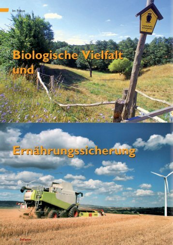 Biologische Vielfalt Ernährungssicherung und - Deutsche ...