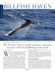 BILLFISH HAVEN - Indian River Magazine