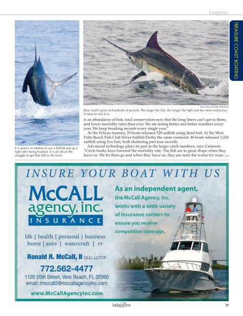 BILLFISH HAVEN - Indian River Magazine