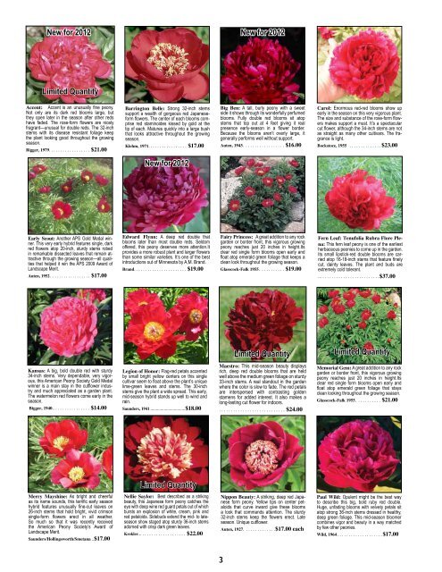 Fine peonies for garden and vase - Fina Gardens Peonies