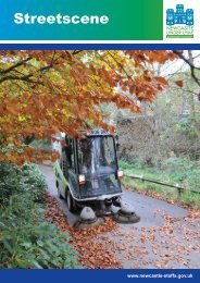 Streetscene Portfolio (PDF 985Kb) - Newcastle-under-Lyme ...