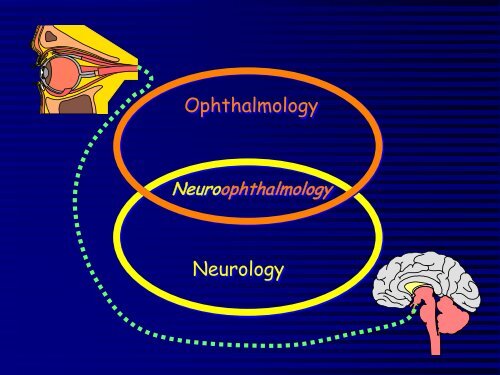 Comparative Neuro-Ophthalmology - North Carolina State ...