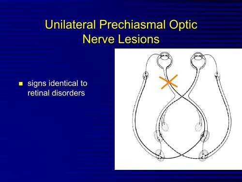 Comparative Neuro-Ophthalmology - North Carolina State ...