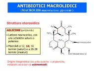 ANTIBIOTICI MACROLIDICI