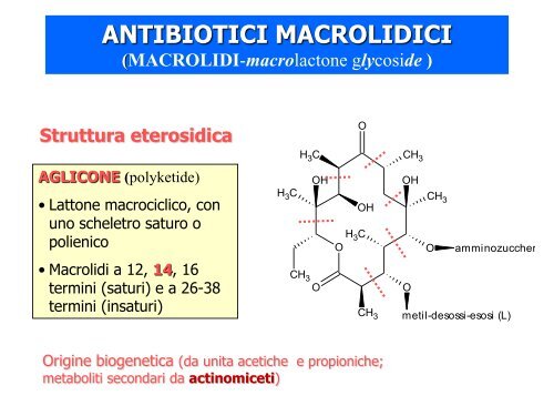 ANTIBIOTICI MACROLIDICI