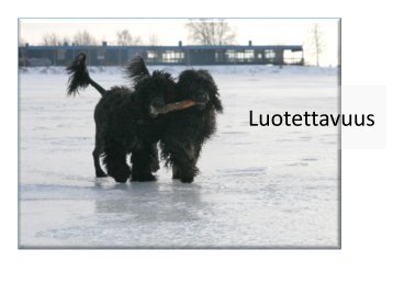 Luotettavuus ja eettisyys.pdf - Edutool-wiki