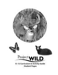 Animal Cards - Project Wild