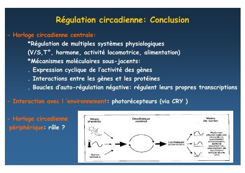 GENETIQUE ET SOMMEIL - SFRMS