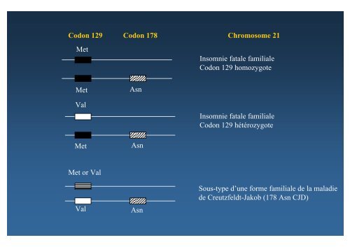 GENETIQUE ET SOMMEIL - SFRMS