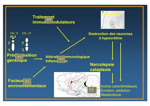 GENETIQUE ET SOMMEIL - SFRMS