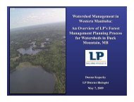 10 Year Forest Management Plan and the EA License - Manitoba ...