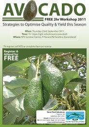 Avocado Flier.pdf - Nutri-Tech Solutions