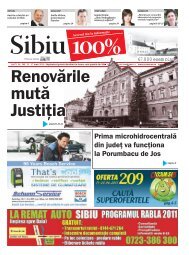 publicitate - Sibiu 100