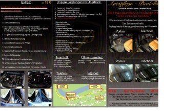 Flyer - Download (deutsch) - Autopflege - Picobello