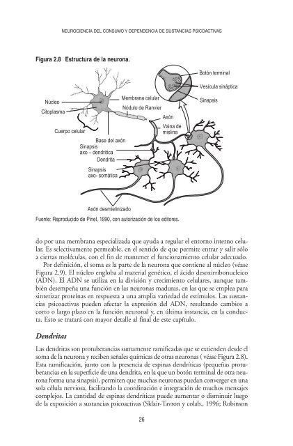 Neurociencia del consumo y dependencia de sustancias psicoactivas