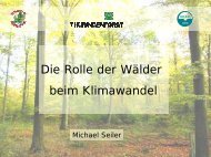 Die Rolle der WÃƒÂ¤lder beim Klimawandel - Wald & Klima