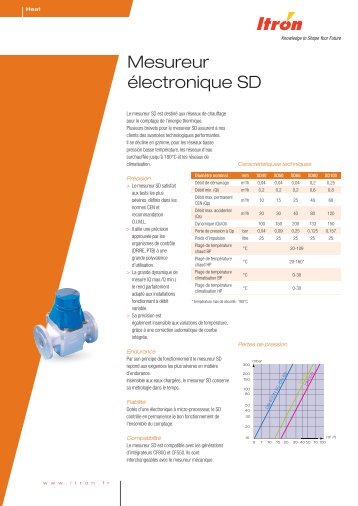 Mesureur Ã©lectronique SD - Itron