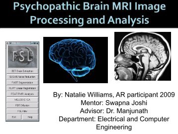 Analyzing 3D Structural Brain MRI Images - CSEP Center for ...