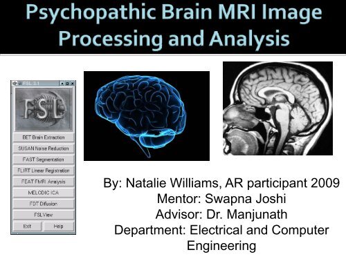 Analyzing 3D Structural Brain MRI Images - CSEP Center for ...