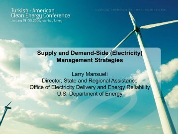 Supply and Demand-Side (Electricity) Management Strategies