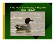 HPAI H5N1 Surveillance in Migratory Birds in Egypt - Middle East