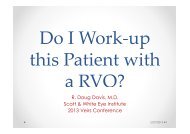 Retinal Vein Occlusion: Do I Work-Up this Patient with an RVO?