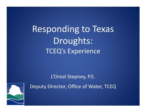 L'Oreal Stepney, Texas Commission on Environmental Quality