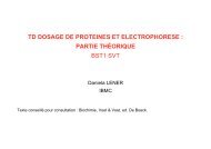 Dosage des protÃ©ines et electrophorÃ¨se - IBMC