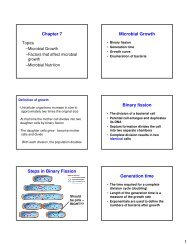 Chapter 7 Microbial Growth Binary fission Steps in Binary Fission ...