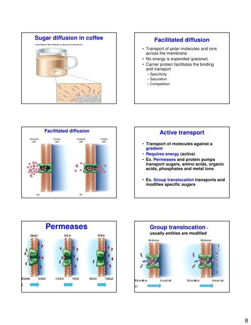 Chapter 7 Microbial Growth Binary fission Steps in Binary Fission ...