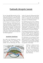 Funktionelle chirurgische Anatomie