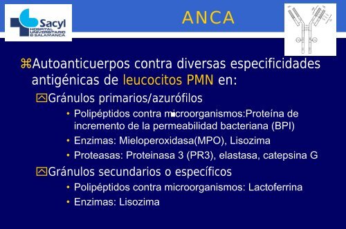 ANCAS en las vasculitis.