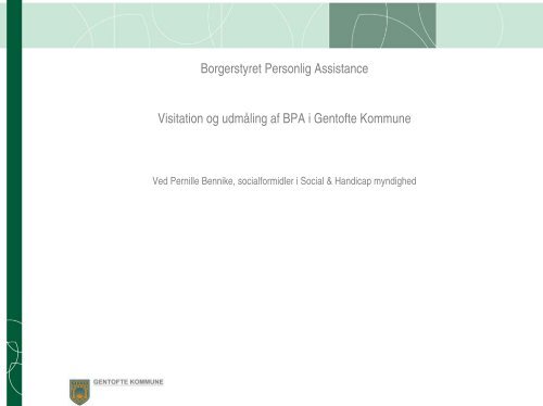 Organisationsdiagram for Social & Sundhed - Socialstyrelsen