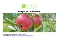 Alte Apfel- und Birnensorten - OGV