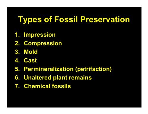 Modes of fossil preservation