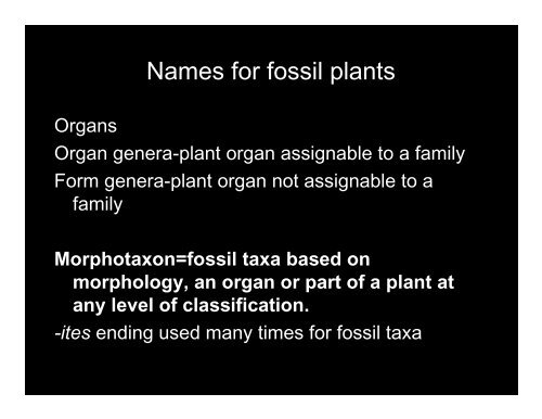 Modes of fossil preservation