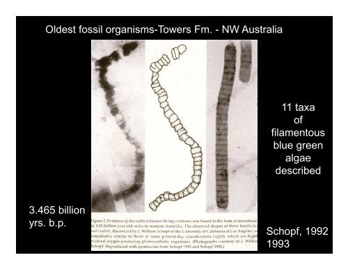 Modes of fossil preservation