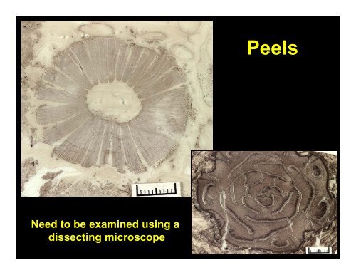 Modes of fossil preservation