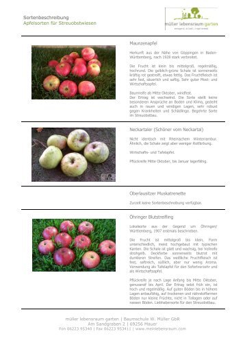 Apfelsorten für Streuobstwiesen M-Z - müller lebensraum garten