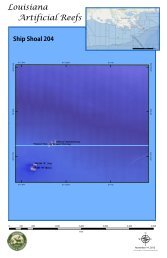 Ship Shoal Reefs